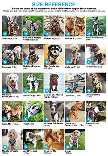 Algopix Similar Product 19 - Voyager StepIn Air Dog Harness  All