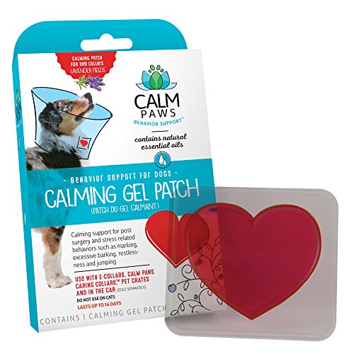 Algopix Similar Product 17 - Calm Paws Calming Gel Patch for Dogs