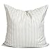 Algopix Similar Product 6 - Gray Ticking Pillow Cover Ticking