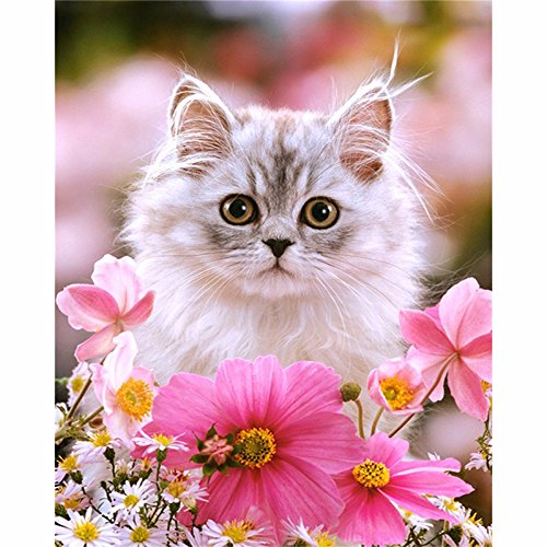 Algopix Similar Product 16 - Full Diamond 5D DIY Diamond Painting