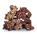 Algopix Similar Product 15 - Real Reef Premium Live Rock for