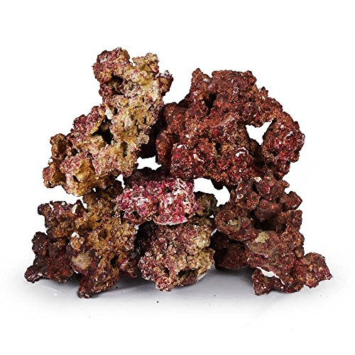 Algopix Similar Product 7 - Real Reef Premium Live Rock for