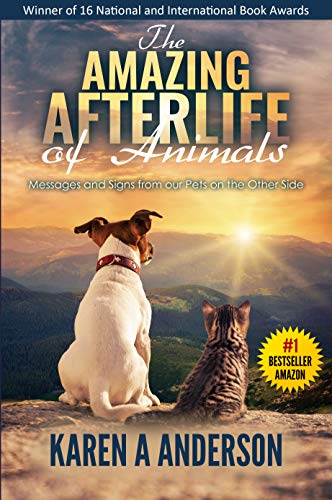 Algopix Similar Product 3 - The Amazing Afterlife of Animals