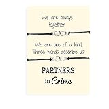 Algopix Similar Product 13 - Carrie Clover Partners in Crime