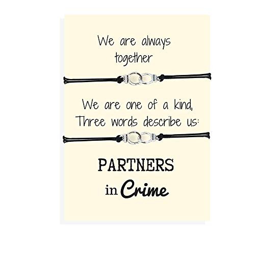 Algopix Similar Product 15 - Carrie Clover Partners in Crime
