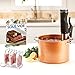 Algopix Similar Product 8 - Sous Vide Power Precision Cooker