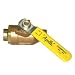 Algopix Similar Product 16 - Apollo 12in Brass Sweat InLine Ball