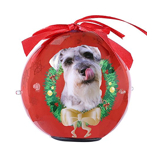 Algopix Similar Product 18 - CueCue Pet CUECUEPET Christmas Winter