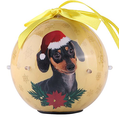 Algopix Similar Product 19 - CueCue Pet CUECUEPET Christmas Winter