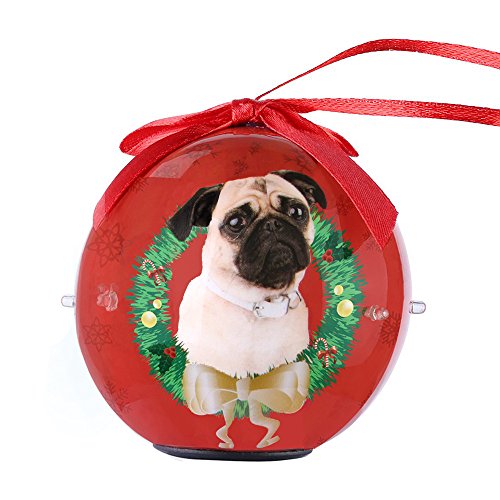 Algopix Similar Product 17 - CueCue Pet CUECUEPET Christmas Winter