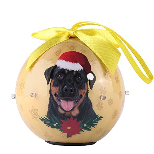 Algopix Similar Product 16 - CueCue Pet CUECUEPET Christmas Winter