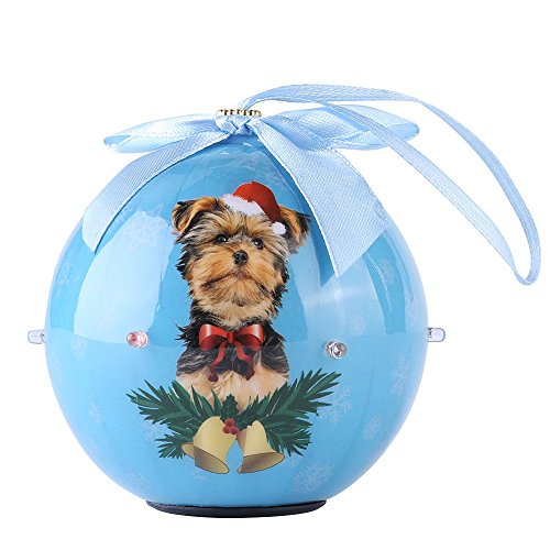 Algopix Similar Product 11 - CueCue Pet CUECUEPET Christmas Winter