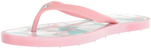 Algopix Similar Product 12 - 