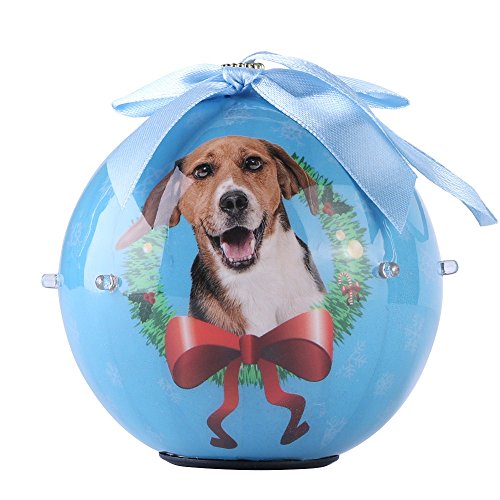 Algopix Similar Product 4 - CueCue Pet CUECUEPET Christmas Winter