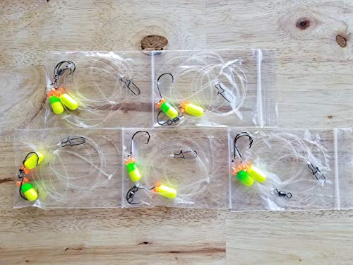 Algopix Similar Product 14 - Fluorocarbon Fishing Rigs 5 Fishing