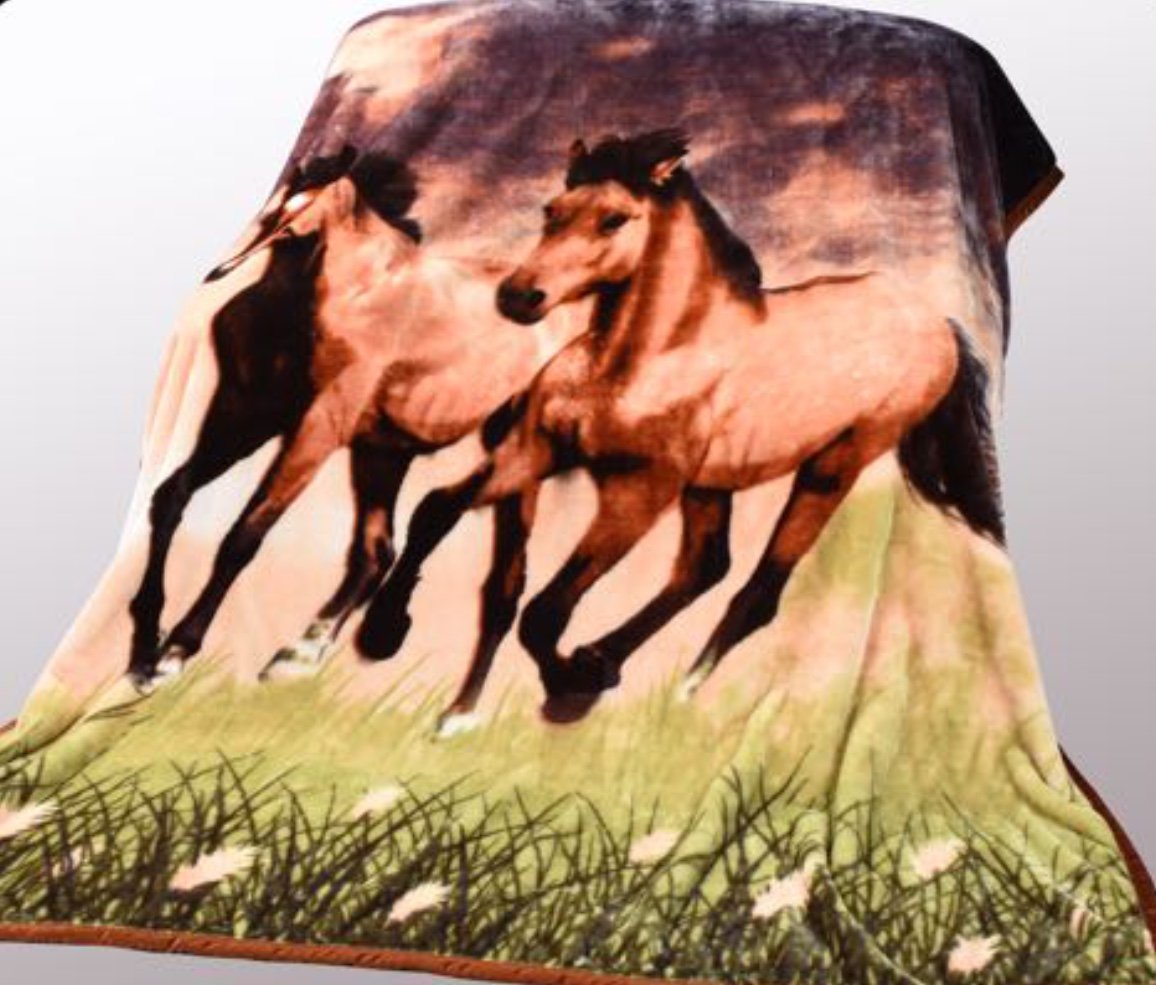 Algopix Similar Product 5 - Hiyoko Thick Twin Horse Blanket Queen