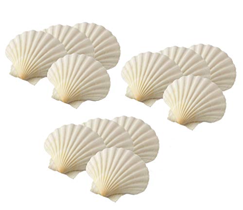 Algopix Similar Product 8 - Maine Man Baking Shells 4 Inch Set of