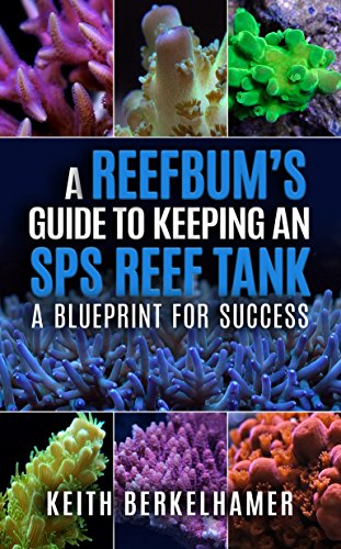Algopix Similar Product 2 - A ReefBums Guide To Keeping an SPS