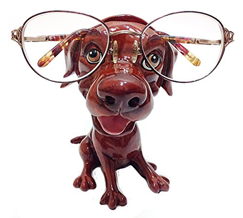 Algopix Similar Product 10 - Chocolate Labrador Retriever Dog Breed