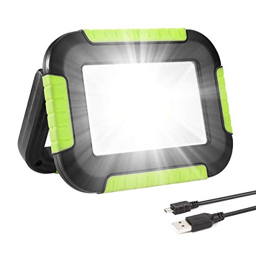 Algopix Similar Product 10 - LE Portable LED Work Light 10W