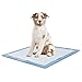 Algopix Similar Product 4 - PETSWORLD 100 Count Durable Heavy