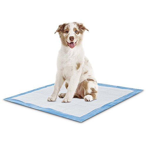 Algopix Similar Product 7 - PETSWORLD 100 Count Durable Heavy