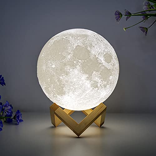 Algopix Similar Product 16 - BRIGHTWORLD Moon Lamp Moon Night Light