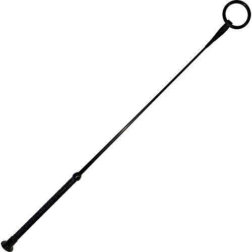 Algopix Similar Product 3 - Sport Sheets Ring Slayer, 26" Black