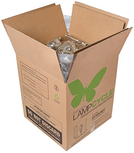 Algopix Similar Product 7 - EverLights RHID100 LampCycle HID Lamp