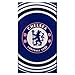 Algopix Similar Product 16 - Chelsea Pulse Beach Towel