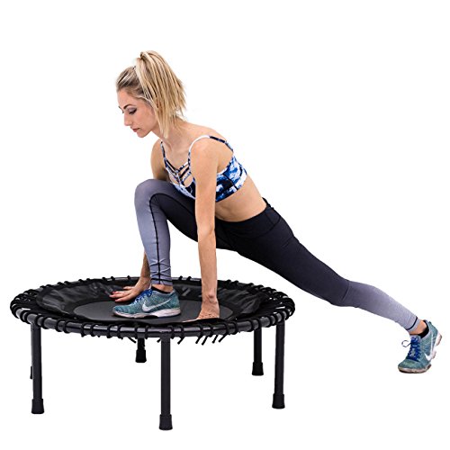 Algopix Similar Product 20 - SkyBound Nimbus Bungee Fitness