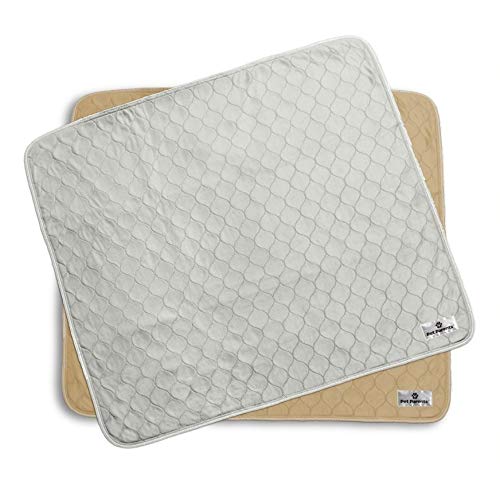 Algopix Similar Product 19 - Pet Parents Pawtect Pads Washable Dog