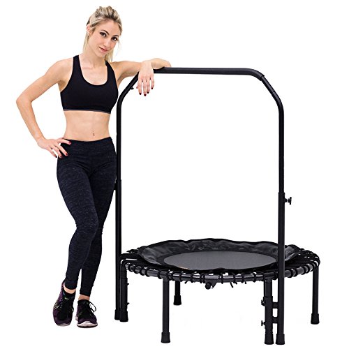 Algopix Similar Product 14 - SkyBound Nimbus Bungee Fitness