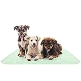 Algopix Similar Product 19 - Puppy Pads Pet Training Mat Quick