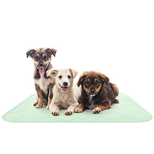 Algopix Similar Product 2 - Puppy Pads Pet Training Mat Quick