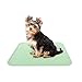 Algopix Similar Product 11 - Puppy Pads Pet Training Mat 2 Pack