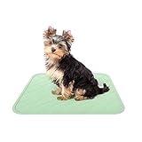 Algopix Similar Product 16 - Puppy Pads Pet Training Mat 2 Pack