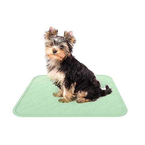 Algopix Similar Product 3 - Puppy Pads Pet Training Mat 2 Pack