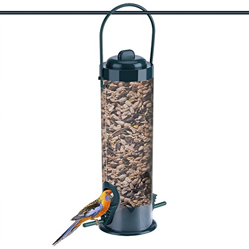 Algopix Similar Product 20 - 