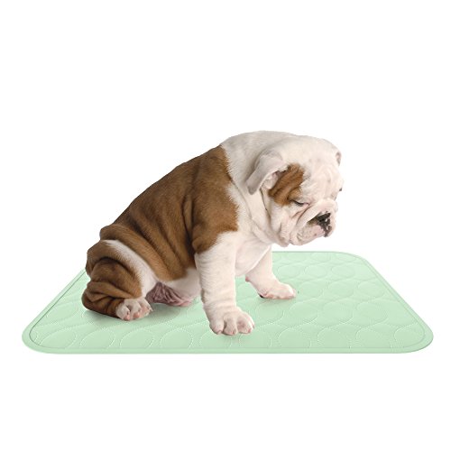 Algopix Similar Product 15 - Puppy Pads Pet Training Mat 2 Pack