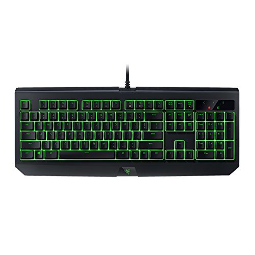 Algopix Similar Product 19 - Razer BlackWidow Ultimate Esports