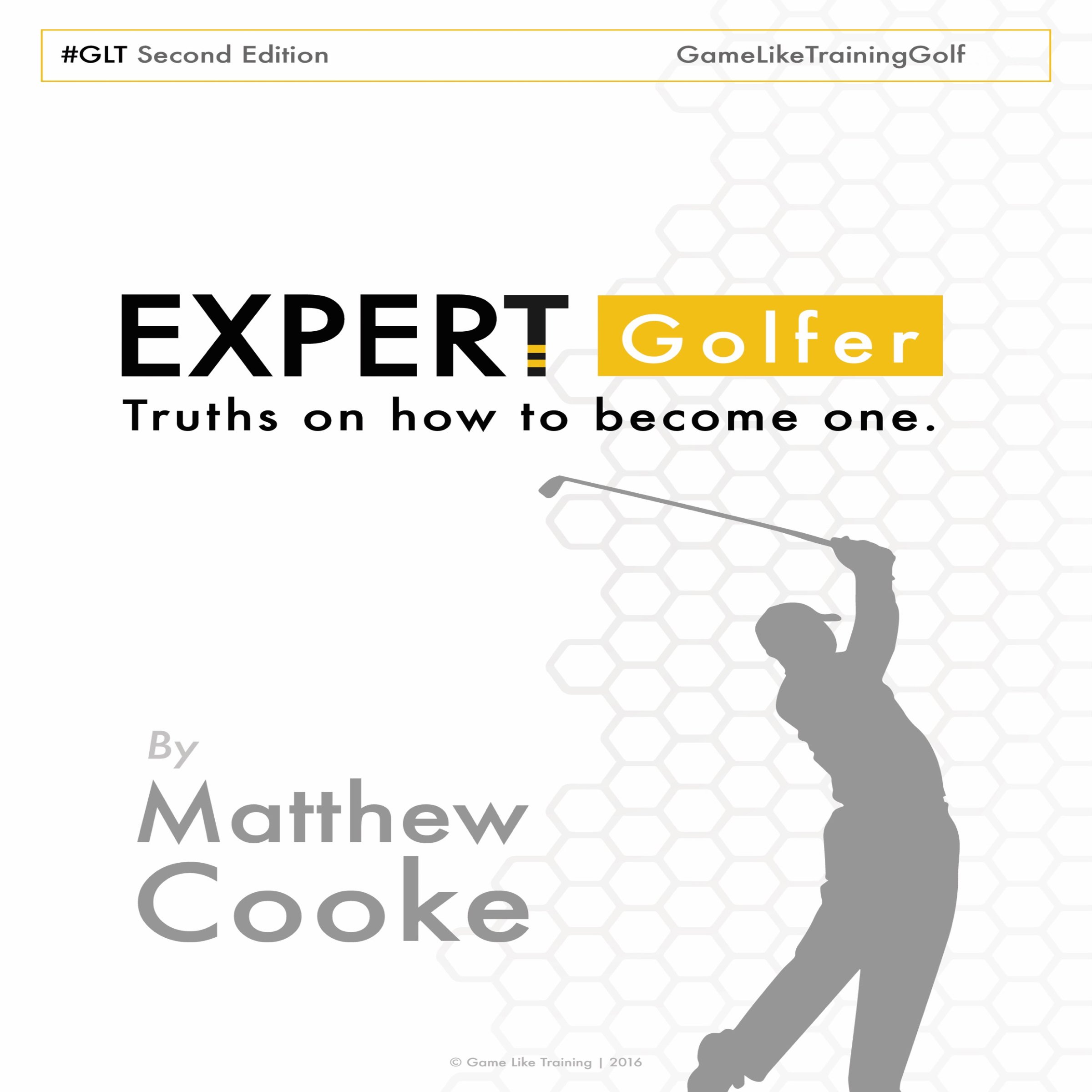 Algopix Similar Product 11 - Expert Golfer