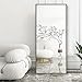 Algopix Similar Product 12 - HA 65x22 Full Length Mirror Full