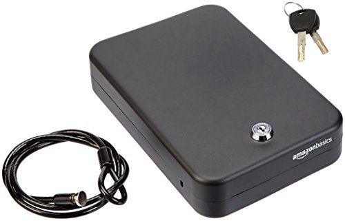 Algopix Similar Product 1 - Amazon Basics Portable Security Case