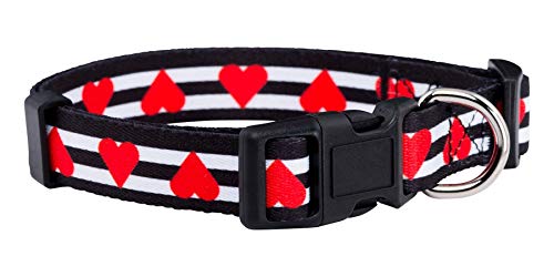 Algopix Similar Product 15 - Native Pup Valentines Dog Collar