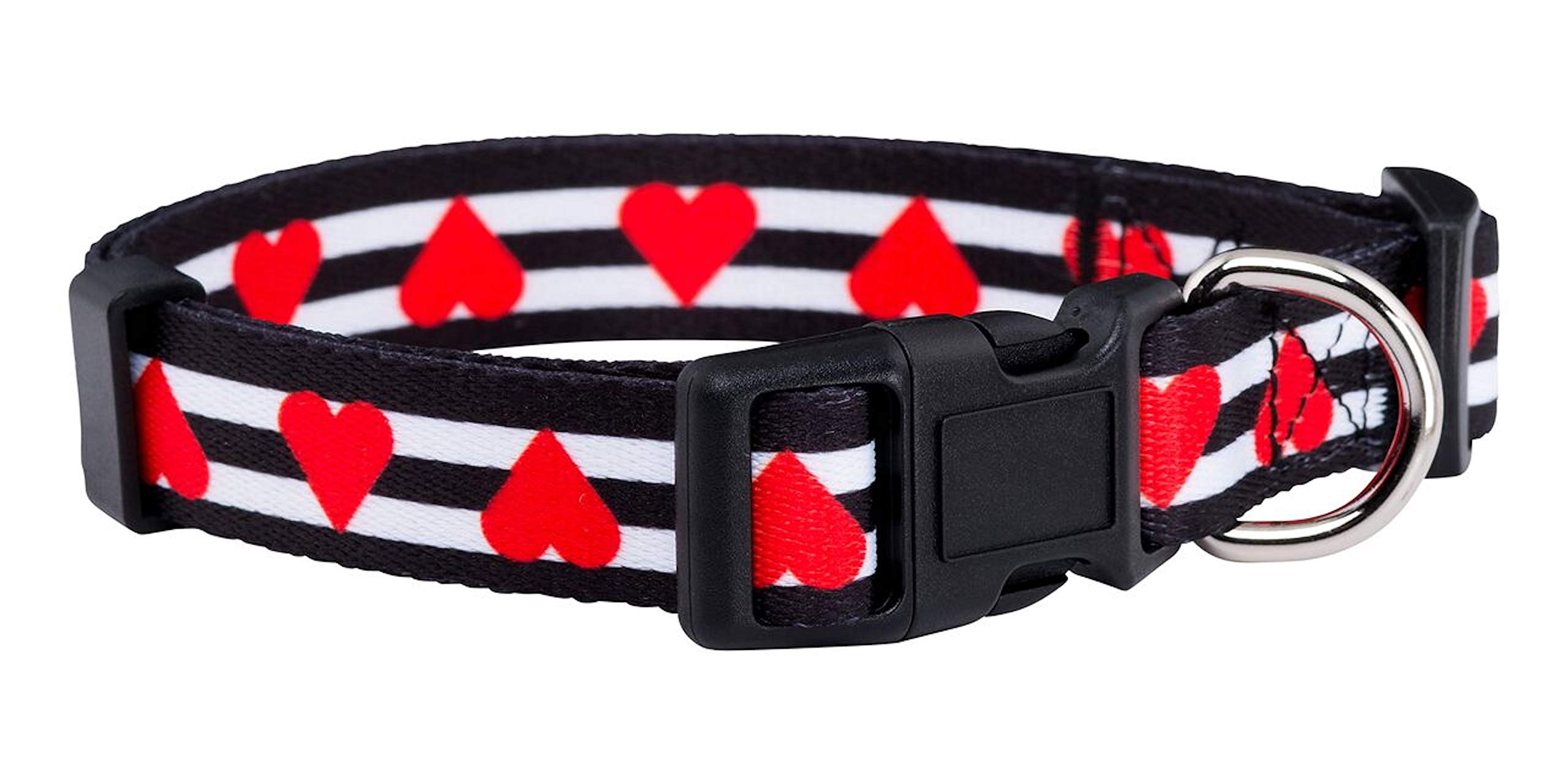 Algopix Similar Product 6 - Native Pup Valentines Dog Collar