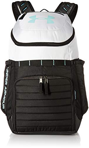 Algopix Similar Product 12 - Under Armour Undeniable 30 Backpack