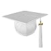 Algopix Similar Product 10 - Graduation SHINY Mortar Board Cap and