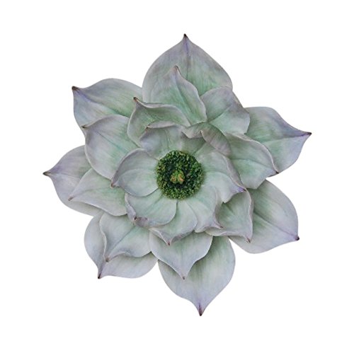 Algopix Similar Product 6 - Benzara in Style Elegant Resin Lotus