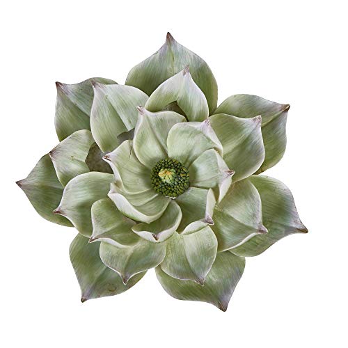 Algopix Similar Product 7 - Benzara Resin Lotus Wall Flower Decor